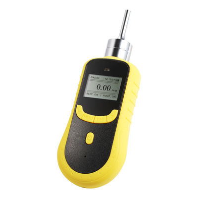 SKY2000 Portable Pumping CO Gas Detector with IP66 Protection and Optional Data Logging